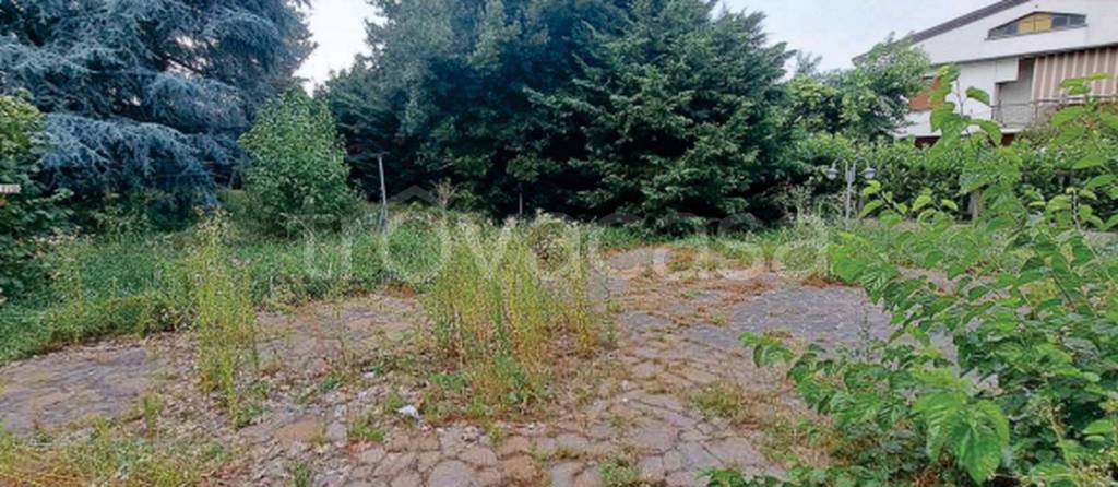 immagine annuncio 7 di 11