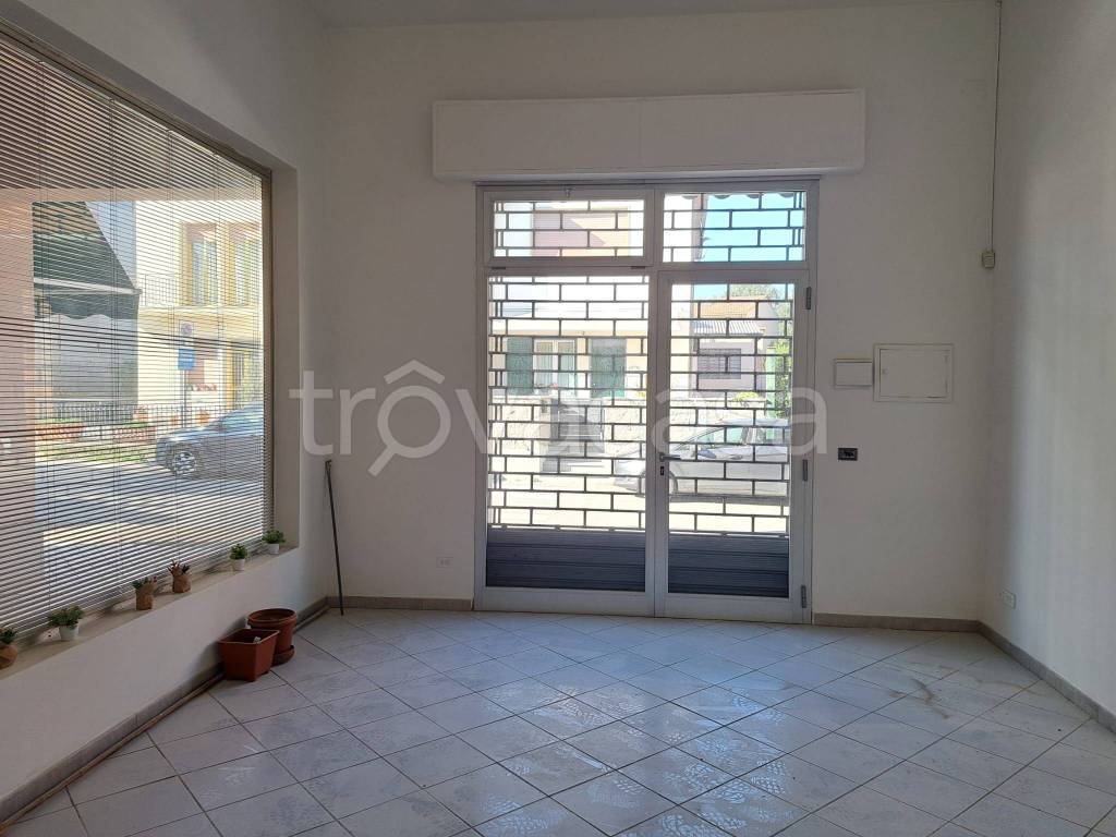 immagine annuncio 3 di 7