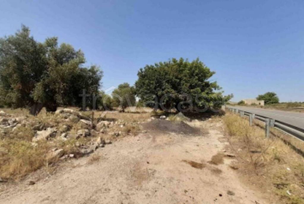 immagine annuncio 6 di 12