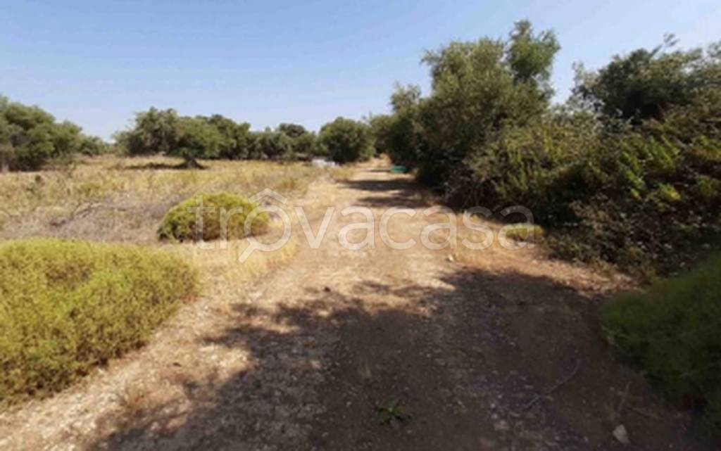 immagine annuncio 8 di 12