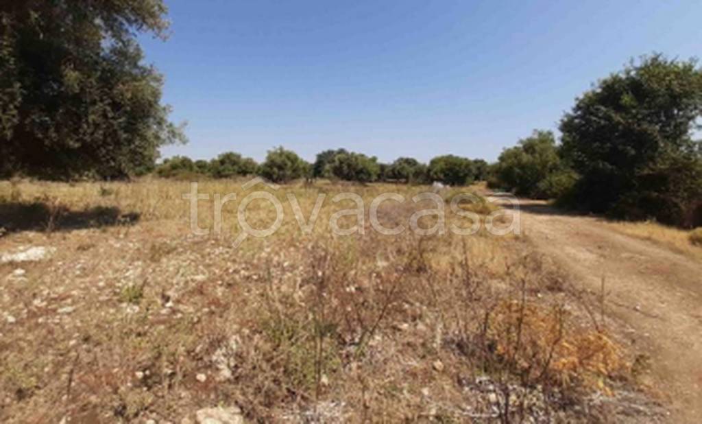 immagine annuncio 11 di 12