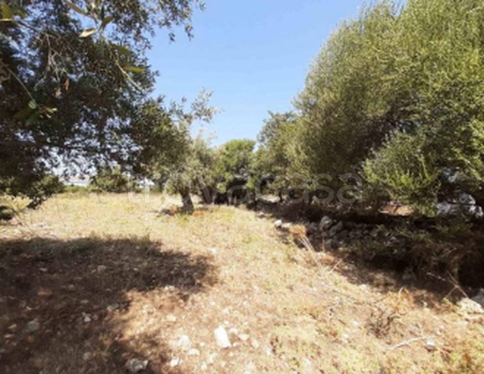 immagine annuncio 10 di 12