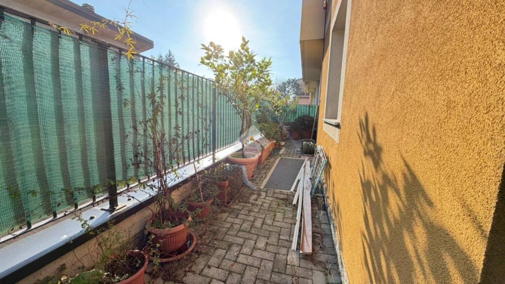 immagine annuncio 7 di 14