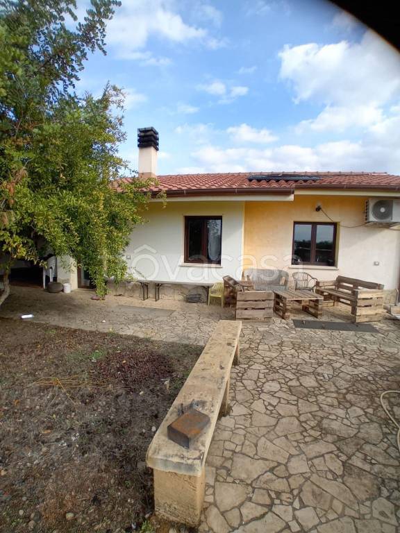 immagine annuncio 6 di 12