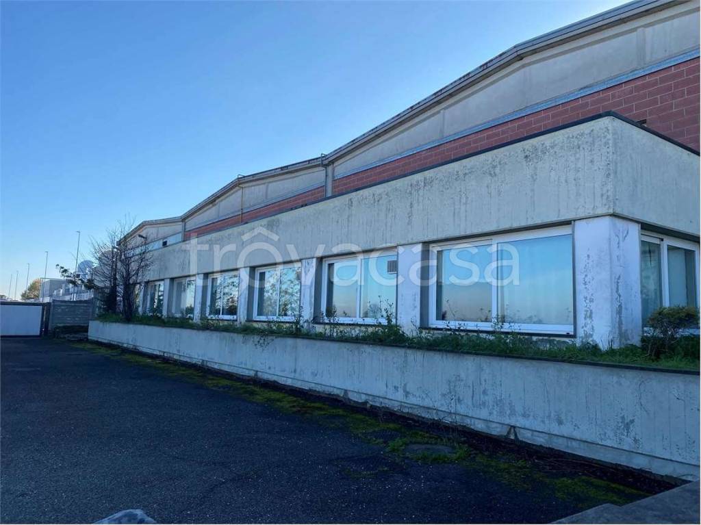 immagine annuncio 8 di 9