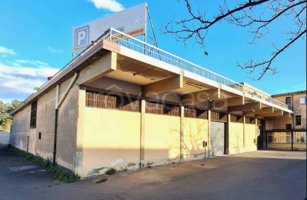 immagine annuncio 12 di 13