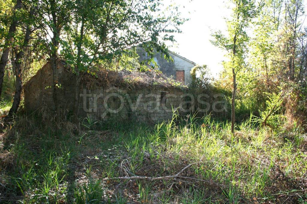 immagine annuncio 1 di 6