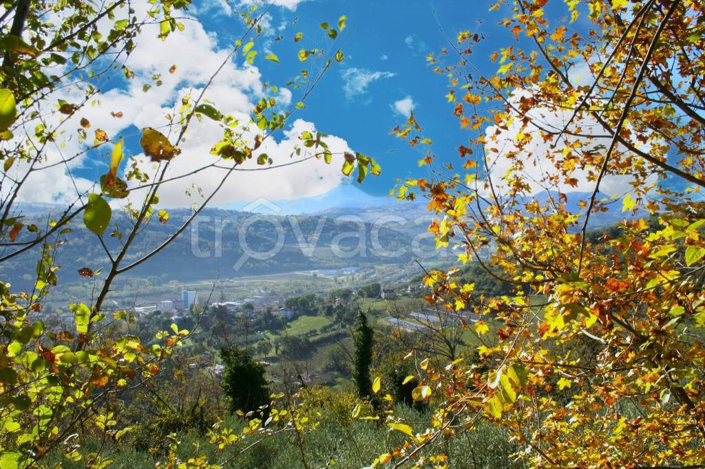 immagine annuncio 2 di 6