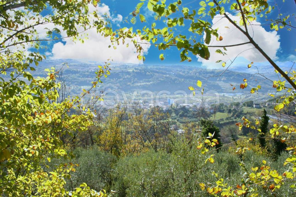 immagine annuncio 3 di 6