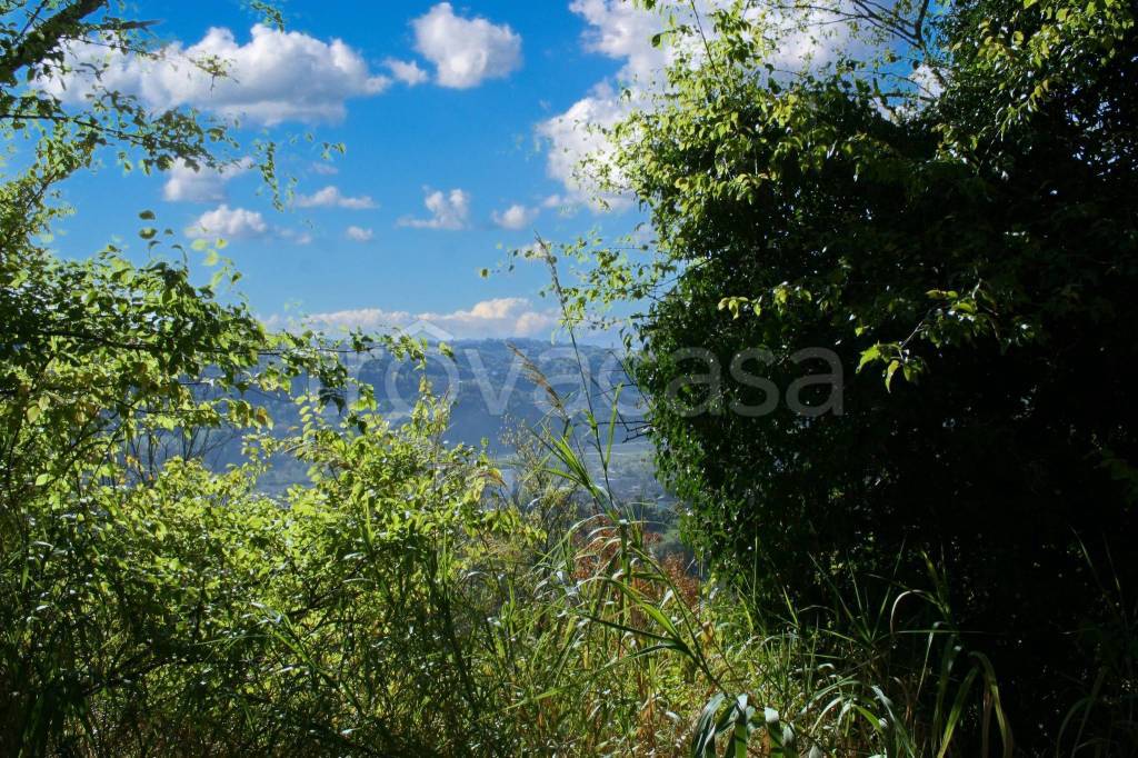 immagine annuncio 4 di 6