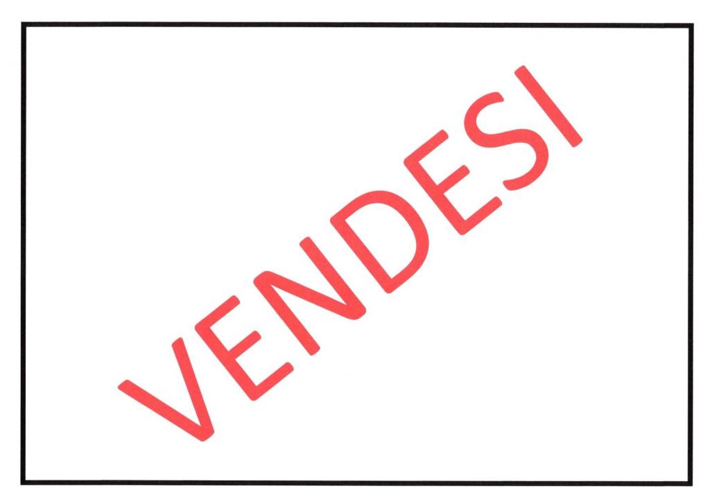 immagine annuncio 7 di 8