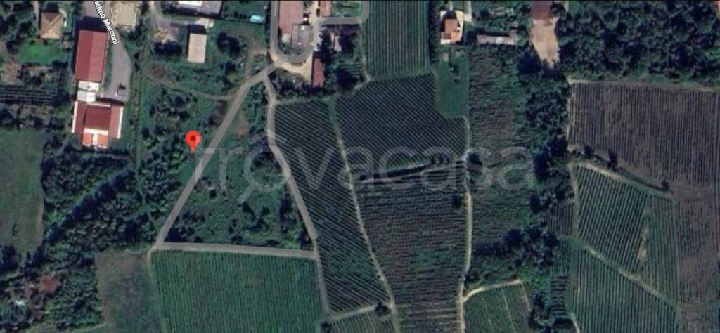 immagine annuncio 5 di 9