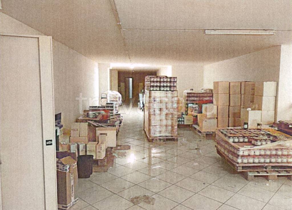 immagine annuncio 4 di 8