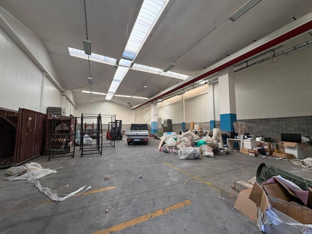 immagine annuncio 3 di 15