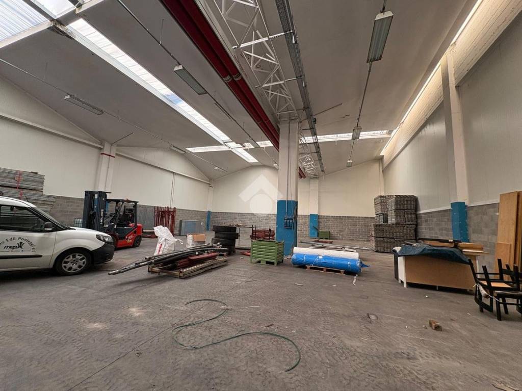 immagine annuncio 9 di 15