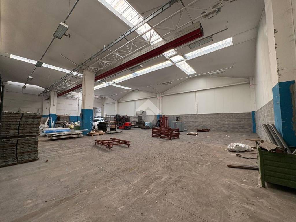 immagine annuncio 10 di 15