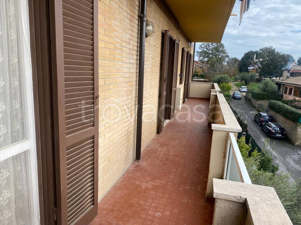 immagine annuncio 11 di 14