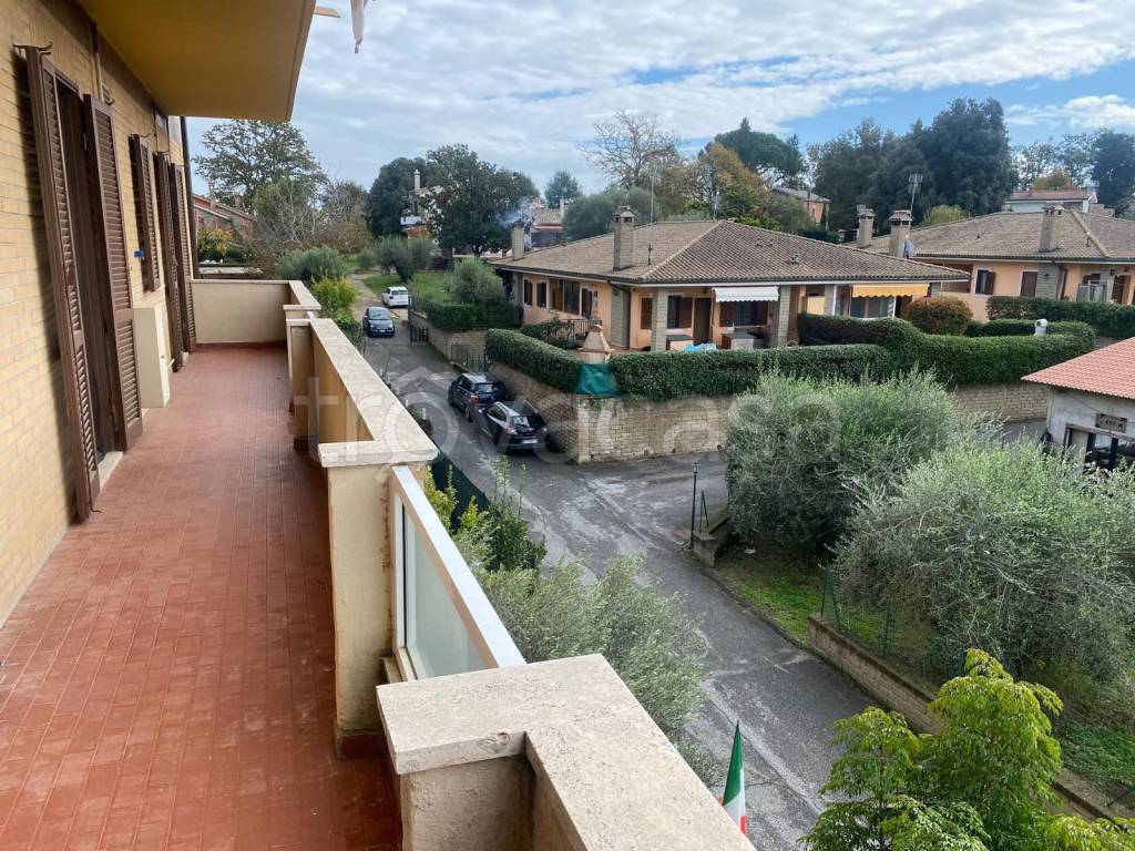 immagine annuncio 12 di 14