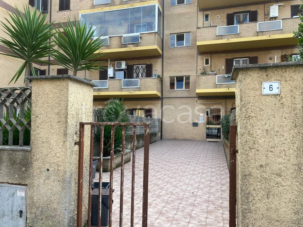 immagine annuncio 13 di 14