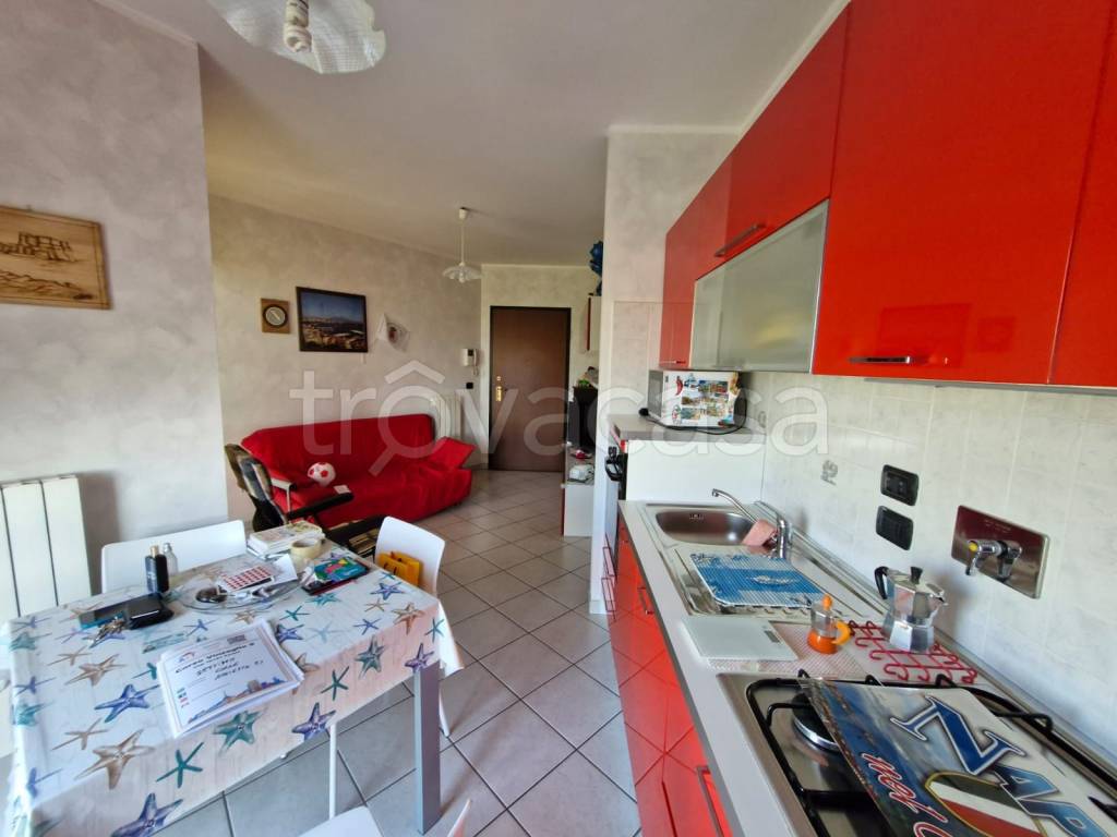 immagine annuncio 7 di 15