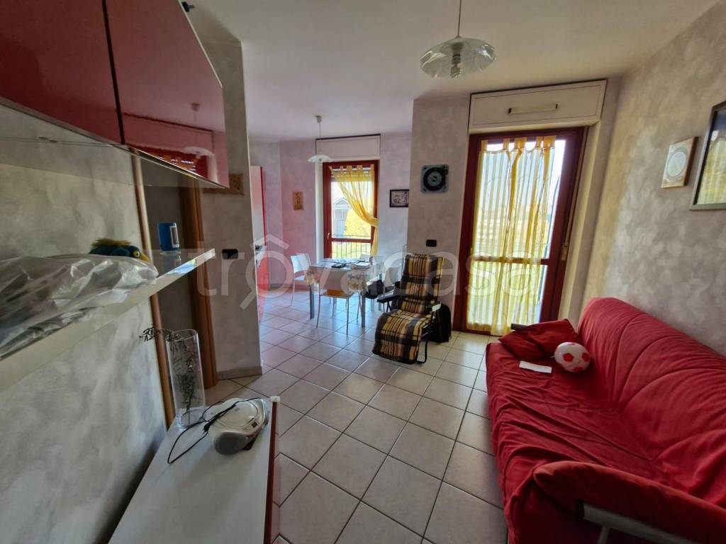 immagine annuncio 8 di 15