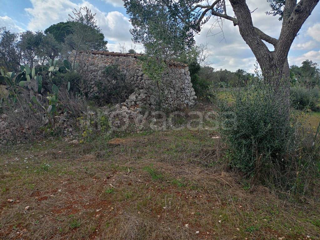 immagine annuncio 2 di 12