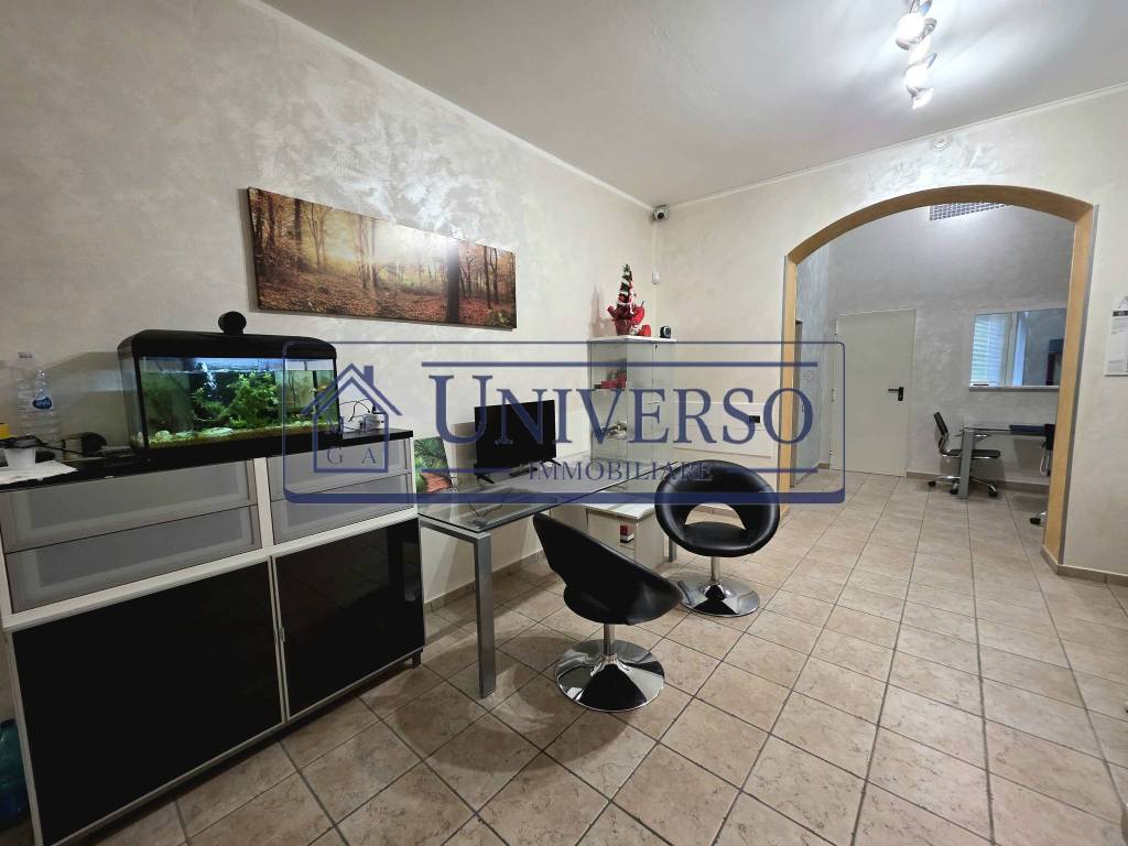 immagine annuncio 6 di 14