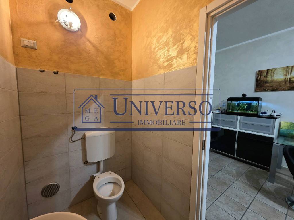 immagine annuncio 9 di 14