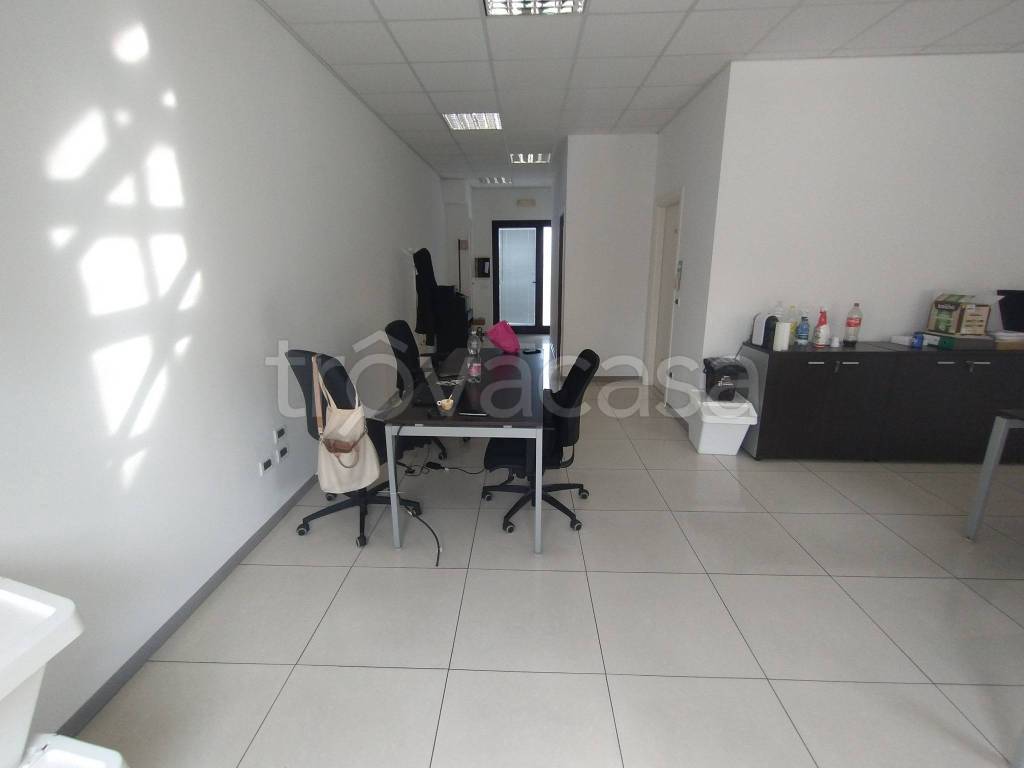 immagine annuncio 2 di 12