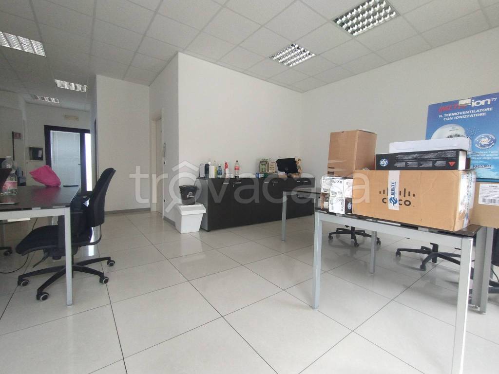 immagine annuncio 3 di 12