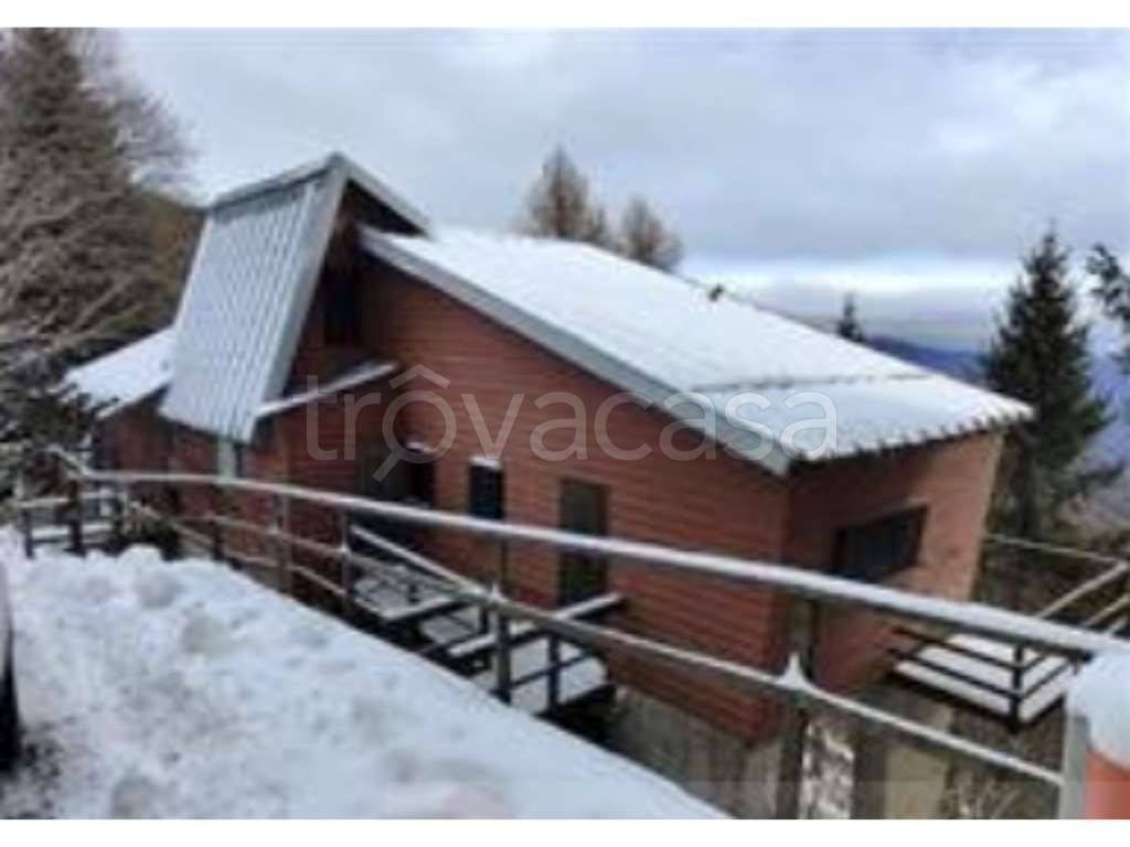 immagine annuncio 9 di 11