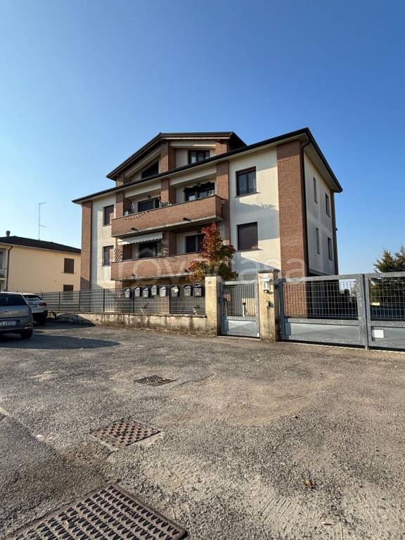 immagine annuncio 1 di 14