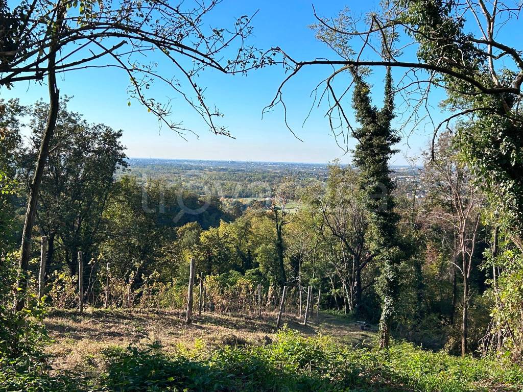 immagine annuncio 2 di 8