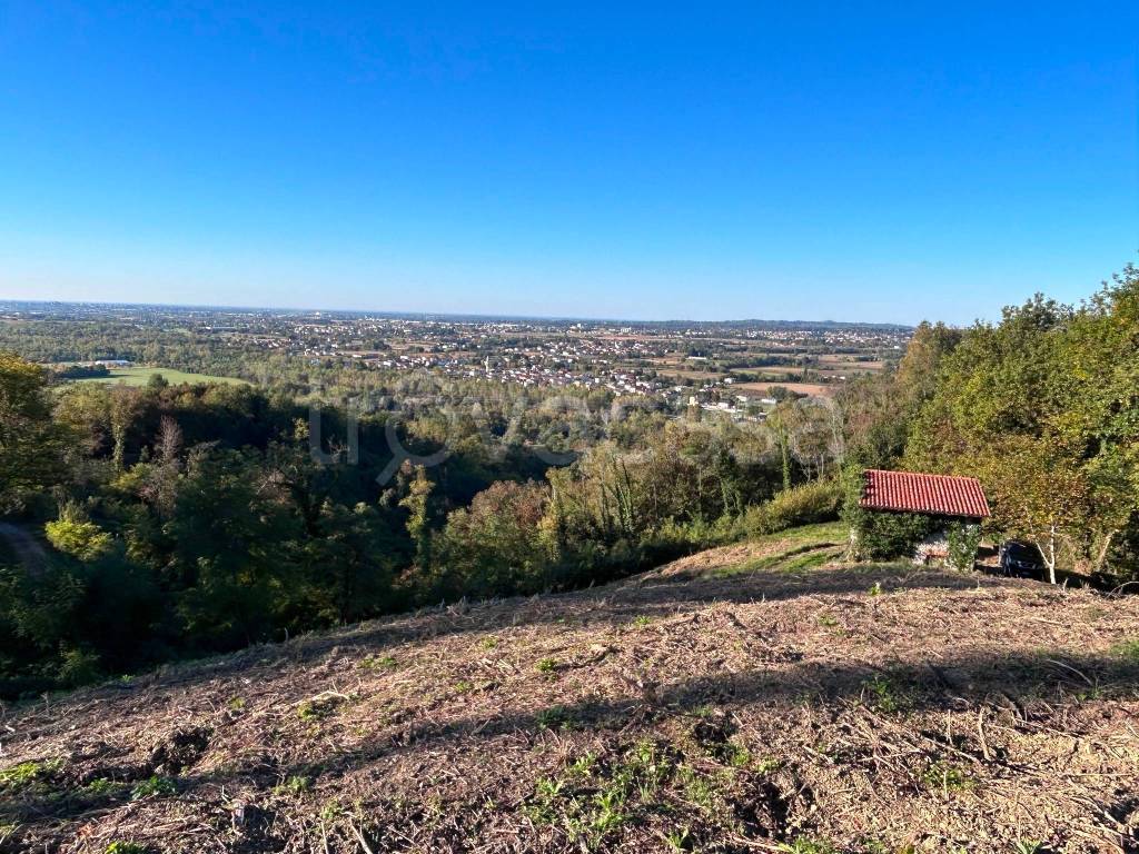 immagine annuncio 4 di 8