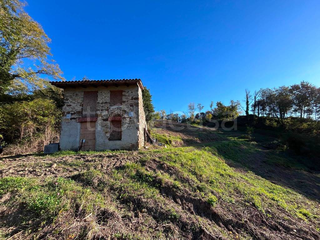 immagine annuncio 5 di 8