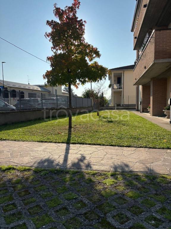 immagine annuncio 4 di 14