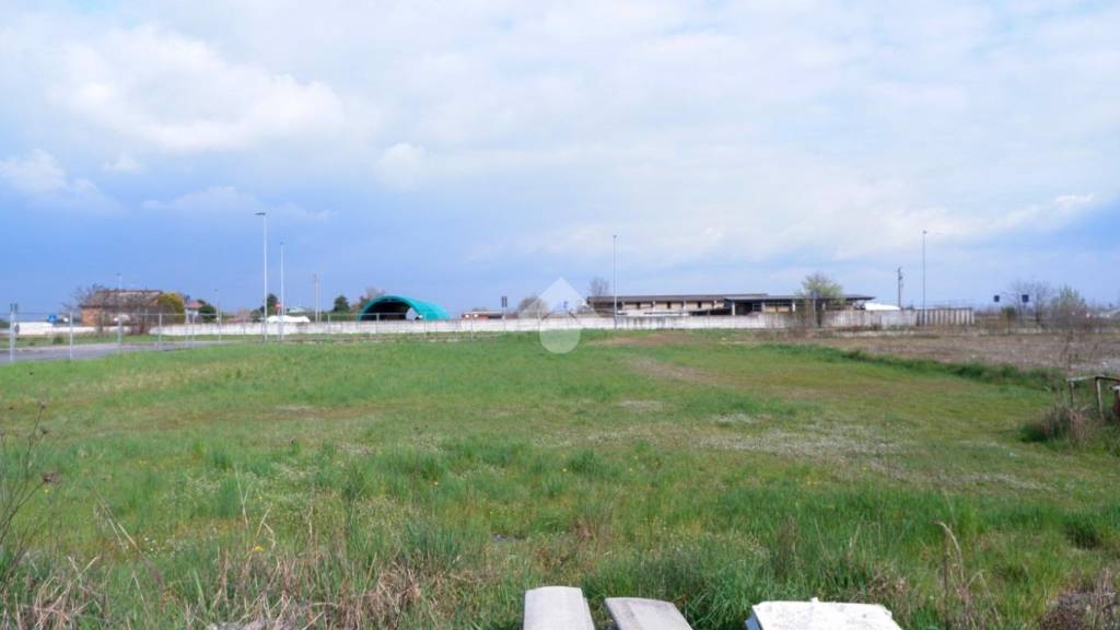 immagine annuncio 11 di 12