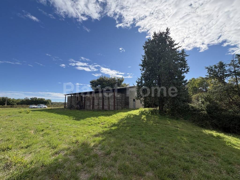 immagine annuncio 3 di 8