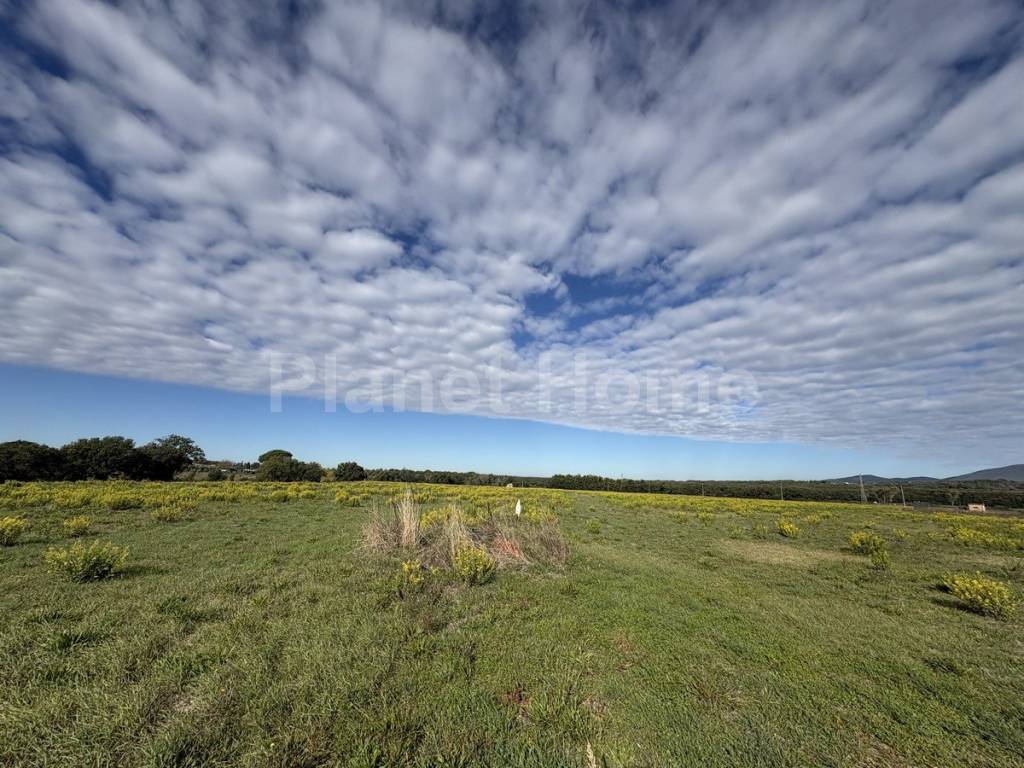 immagine annuncio 5 di 8