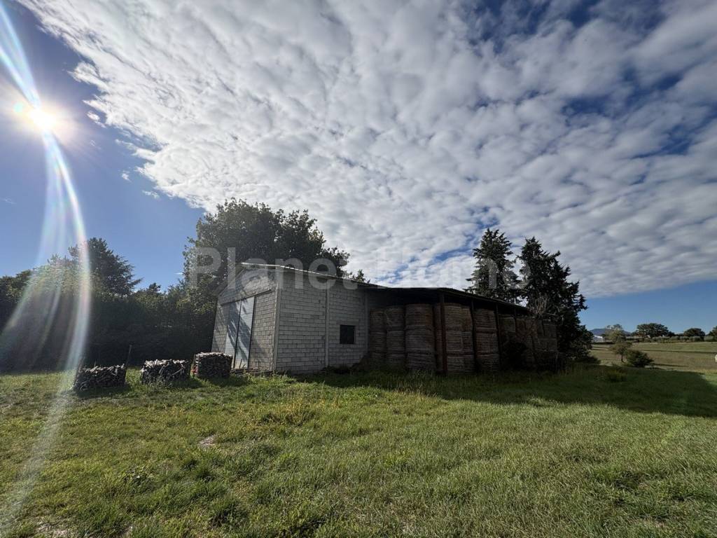 immagine annuncio 6 di 8