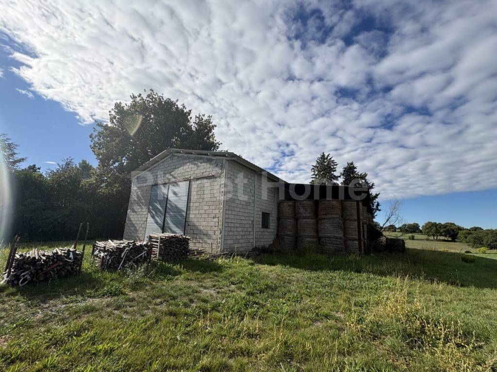 immagine annuncio 7 di 8