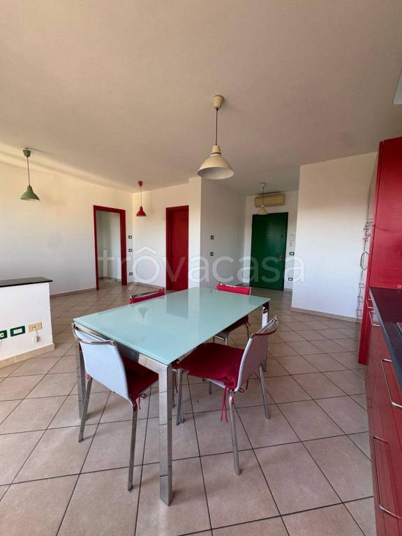 immagine annuncio 10 di 14