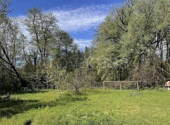 immagine annuncio 2 di 8