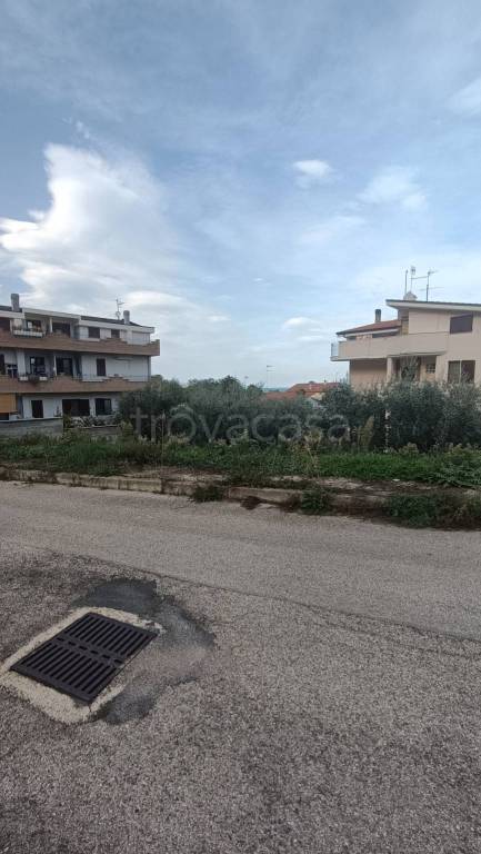 immagine annuncio 1 di 11