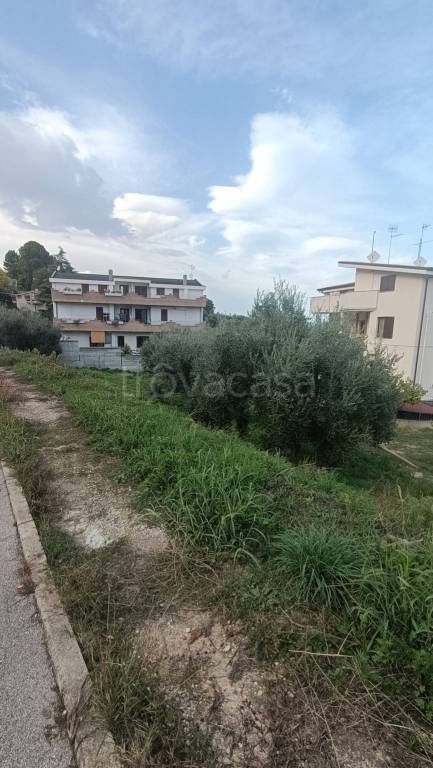 immagine annuncio 2 di 11