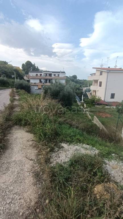 immagine annuncio 3 di 11