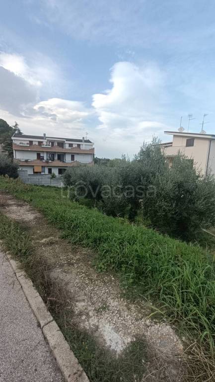 immagine annuncio 5 di 11