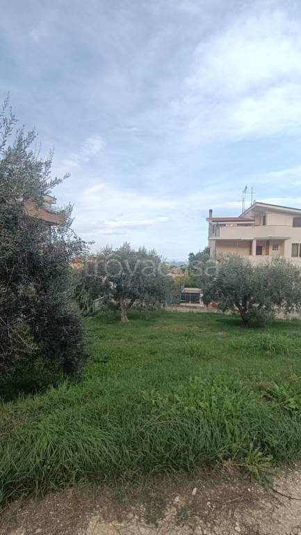 immagine annuncio 6 di 11