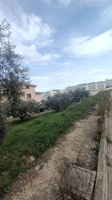 immagine annuncio 7 di 11