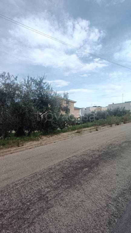 immagine annuncio 8 di 11